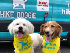 Hike Doggie Franchise Dogs getting ready to hike