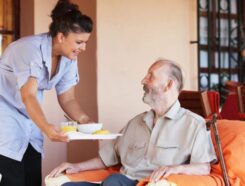 Cerna Homecare Franchise Companion