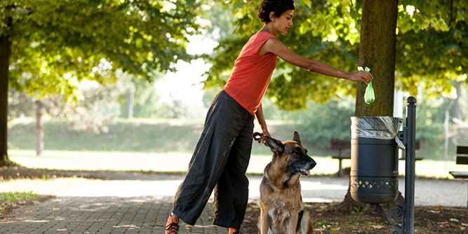 Cooper's Scoopers Pet Waste Removal Franchise