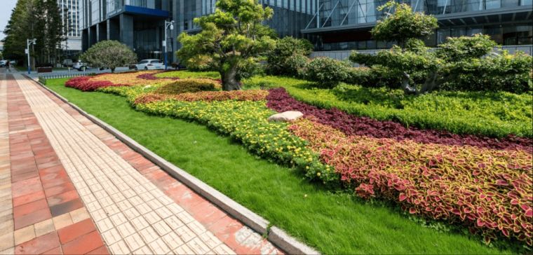 Manage Mowed Landscaping Franchise