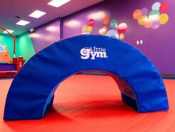 Little Gym Franchise