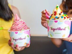 Yogurtland Franchise Yogurt business