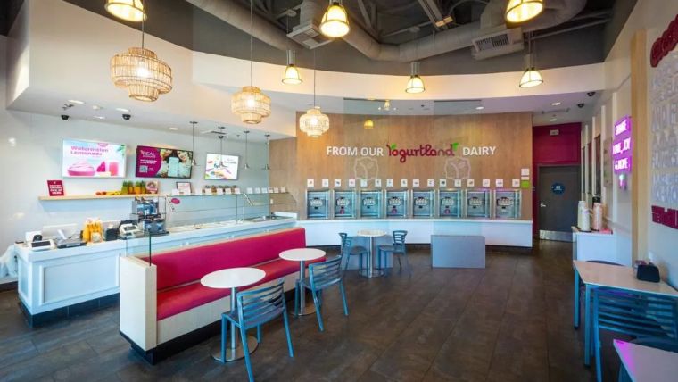 Yogurtland Franchise Yogurt Shop