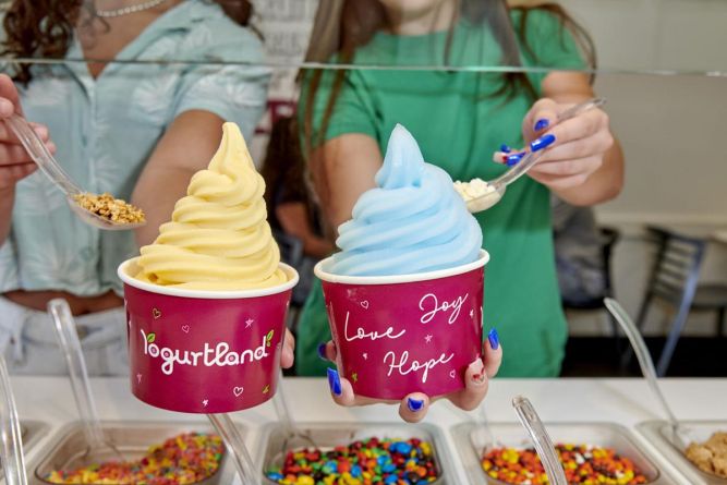 Yogurtland Franchise Yogurt Cups