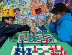 Story Time Chess Franchise